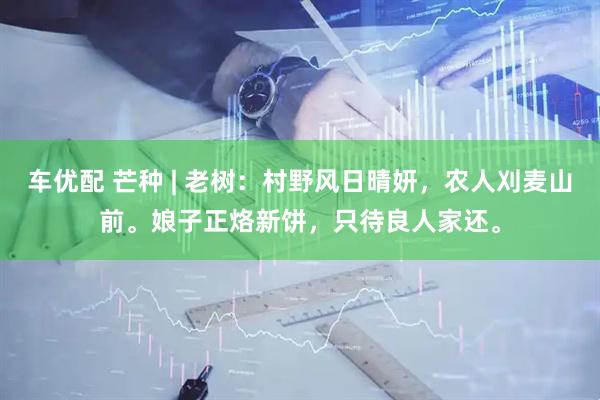 车优配 芒种 | 老树：村野风日晴妍，农人刈麦山前。娘子正烙新饼，只待良人家还。