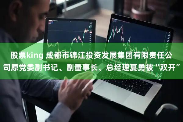 股票king 成都市锦江投资发展集团有限责任公司原党委副书记、副董事长、总经理夏勇被“双开”