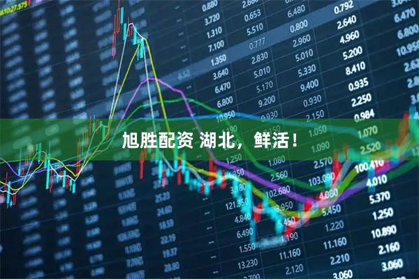 旭胜配资 湖北，鲜活！