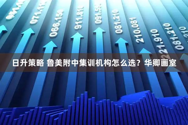 日升策略 鲁美附中集训机构怎么选？华卿画室